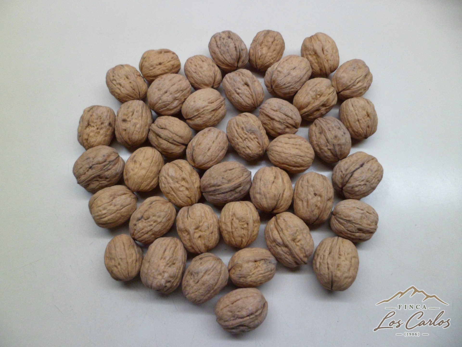 Nueces